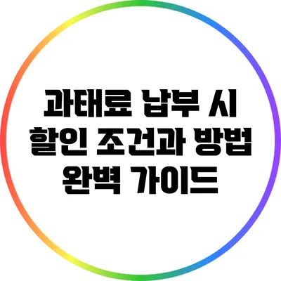 과태료 납부 시 할인 조건과 방법 완벽 가이드