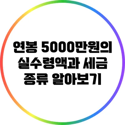 연봉 5000만원의 실수령액과 세금 종류 알아보기