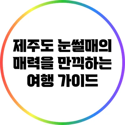 제주도 눈썰매의 매력을 만끽하는 여행 가이드
