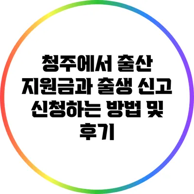 청주에서 출산 지원금과 출생 신고 신청하는 방법 및 후기