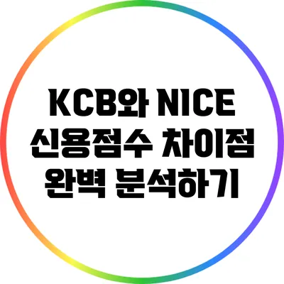 KCB와 NICE 신용점수 차이점 완벽 분석하기