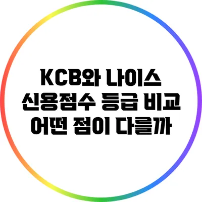 KCB와 나이스 신용점수 등급 비교: 어떤 점이 다를까?