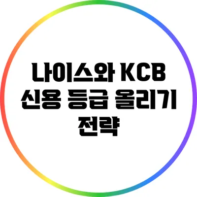 나이스와 KCB 신용 등급 올리기 전략