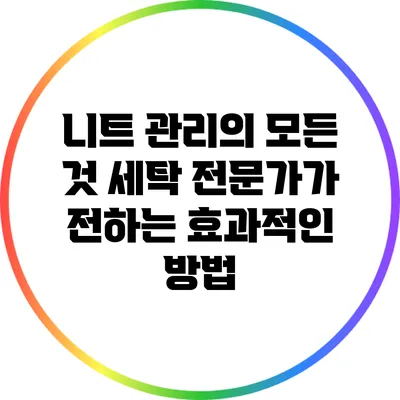 니트 관리의 모든 것: 세탁 전문가가 전하는 효과적인 방법
