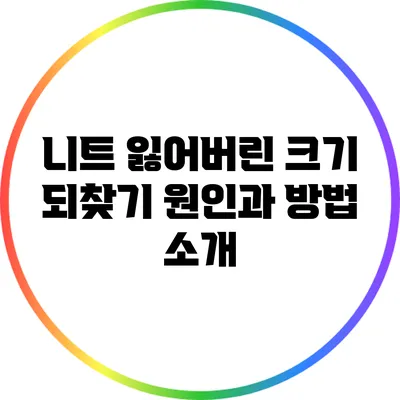 니트 잃어버린 크기 되찾기: 원인과 방법 소개
