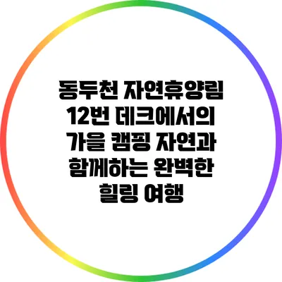 동두천 자연휴양림 12번 데크에서의 가을 캠핑: 자연과 함께하는 완벽한 힐링 여행