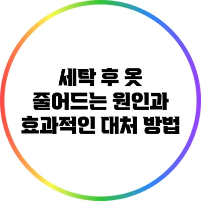 세탁 후 옷 줄어드는 원인과 효과적인 대처 방법