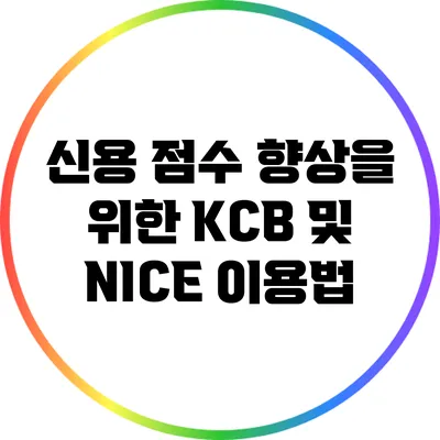 신용 점수 향상을 위한 KCB 및 NICE 이용법