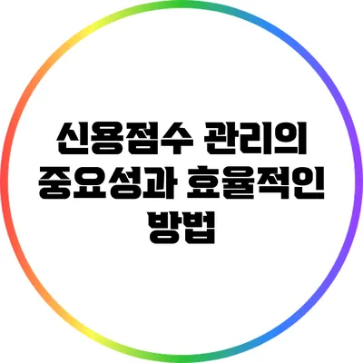 신용점수 관리의 중요성과 효율적인 방법