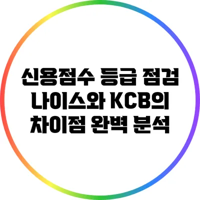 신용점수 등급 점검: 나이스와 KCB의 차이점 완벽 분석