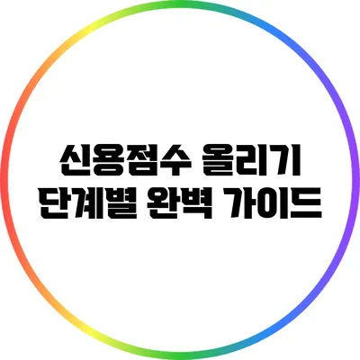 신용점수 올리기: 단계별 완벽 가이드