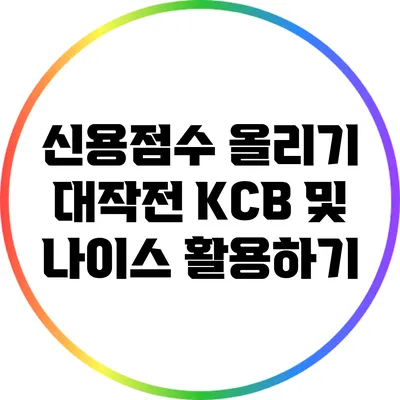 신용점수 올리기 대작전: KCB 및 나이스 활용하기