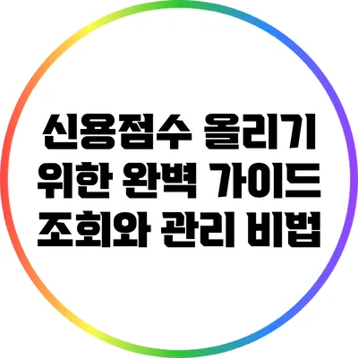 신용점수 올리기 위한 완벽 가이드: 조회와 관리 비법