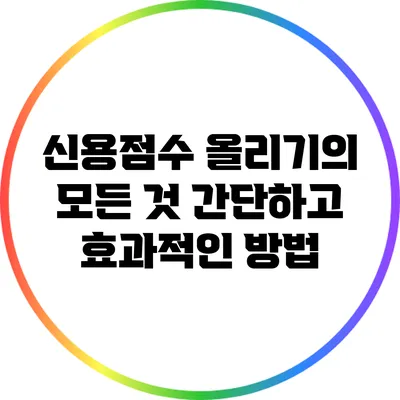 신용점수 올리기의 모든 것: 간단하고 효과적인 방법