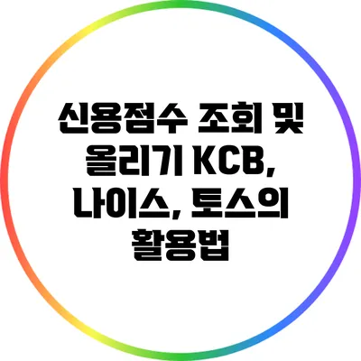 신용점수 조회 및 올리기: KCB, 나이스, 토스의 활용법