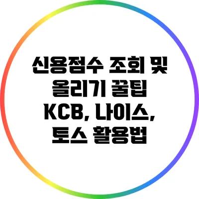 신용점수 조회 및 올리기 꿀팁: KCB, 나이스, 토스 활용법