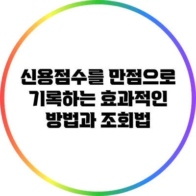 신용점수를 만점으로 기록하는 효과적인 방법과 조회법