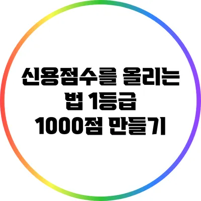 신용점수를 올리는 법: 1등급 1000점 만들기