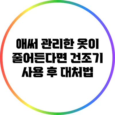 애써 관리한 옷이 줄어든다면? 건조기 사용 후 대처법