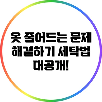 옷 줄어드는 문제 해결하기: 세탁법 대공개!
