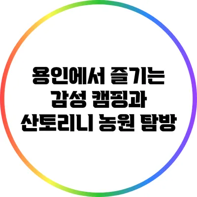 용인에서 즐기는 감성 캠핑과 산토리니 농원 탐방