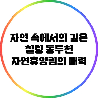 자연 속에서의 깊은 힐링: 동두천 자연휴양림의 매력