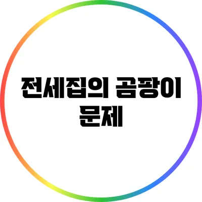 전세집의 곰팡이 문제