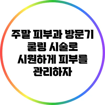 주말 피부과 방문기: 쿨링 시술로 시원하게 피부를 관리하자