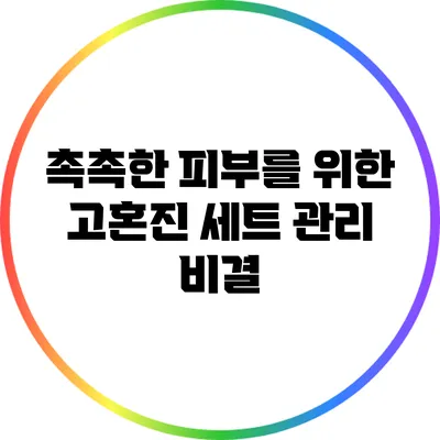 촉촉한 피부를 위한 고혼진 세트 관리 비결