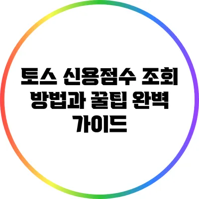 토스 신용점수 조회 방법과 꿀팁 완벽 가이드