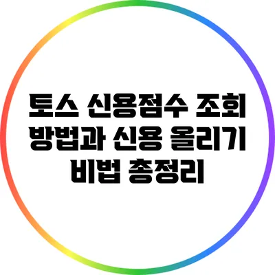 토스 신용점수 조회 방법과 신용 올리기 비법 총정리