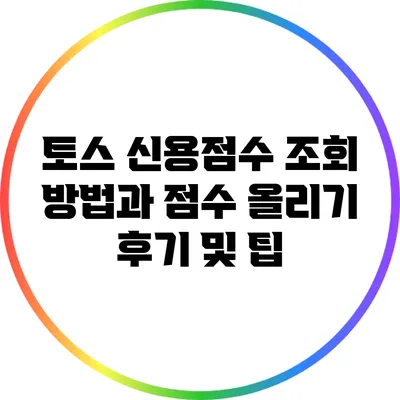 토스 신용점수 조회 방법과 점수 올리기 후기 및 팁