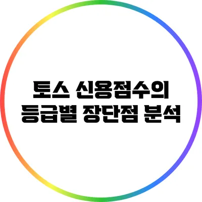 토스 신용점수의 등급별 장단점 분석