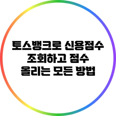 토스뱅크로 신용점수 조회하고 점수 올리는 모든 방법