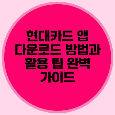 현대카드 앱 다운로드 방법과 활용 팁 완벽 가이드