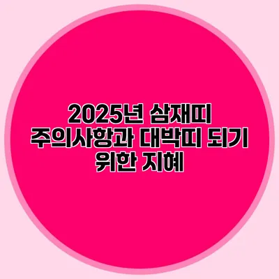 2025년 삼재띠 주의사항과 대박띠 되기 위한 지혜