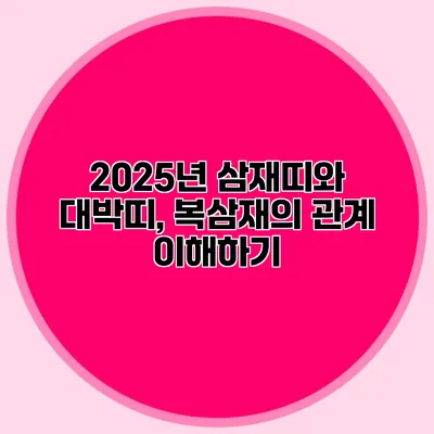 2025년 삼재띠와 대박띠, 복삼재의 관계 이해하기