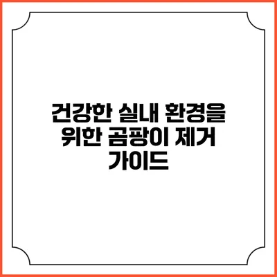건강한 실내 환경을 위한 곰팡이 제거 가이드