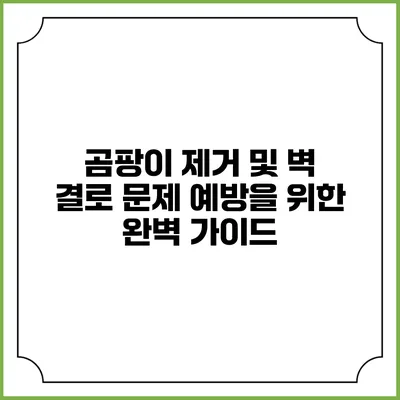 곰팡이 제거 및 벽 결로 문제 예방을 위한 완벽 가이드
