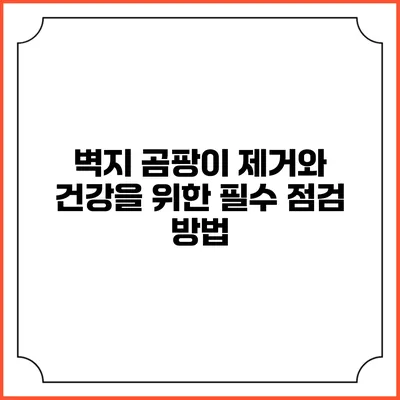 벽지 곰팡이 제거와 건강을 위한 필수 점검 방법