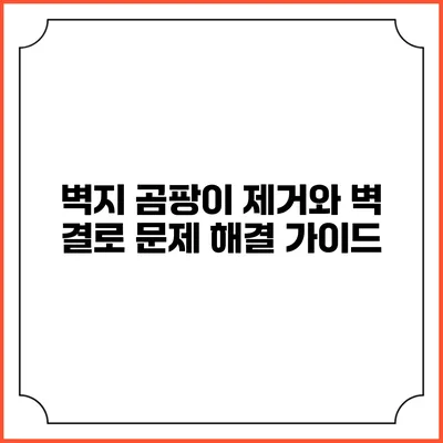 벽지 곰팡이 제거와 벽 결로 문제 해결 가이드