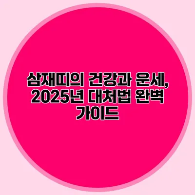 삼재띠의 건강과 운세, 2025년 대처법 완벽 가이드