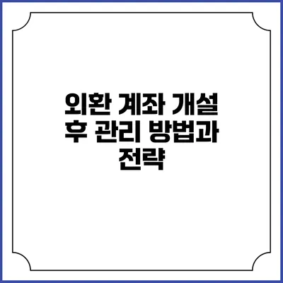 외환 계좌 개설 후 관리 방법과 전략