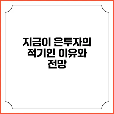 지금이 은투자의 적기인 이유와 전망