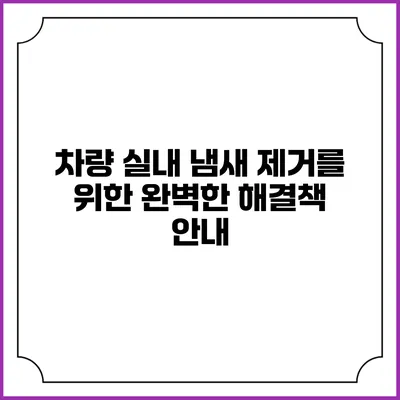 차량 실내 냄새 제거를 위한 완벽한 해결책 안내