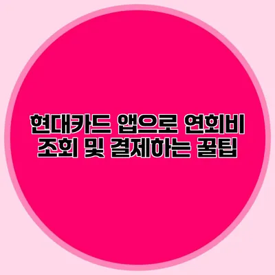 현대카드 앱으로 연회비 조회 및 결제하는 꿀팁
