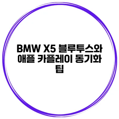 BMW X5 블루투스와 애플 카플레이 동기화 팁