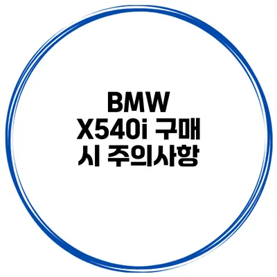 BMW X540i 구매 시 주의사항