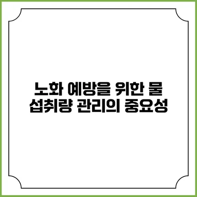 노화 예방을 위한 물 섭취량 관리의 중요성