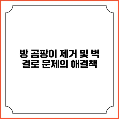 방 곰팡이 제거 및 벽 결로 문제의 해결책